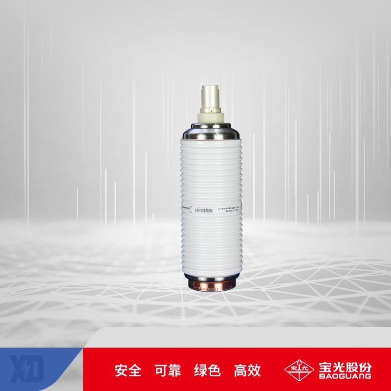 TD14A-12/1250-25N （630 1000 1600 - 20N 25N）-陕西宝光真空电器股份